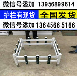 嘉兴南湖区pvc花坛护栏pvc花坛围栏厂商图片4