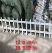 晋城泽州绿化护栏,绿化围栏怎样图片