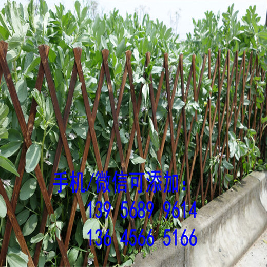 丽水庆元县pvc绿化护栏绿化围栏欢迎出售
