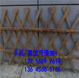 扎兰屯市锌钢草坪护栏围栏绿化铁艺栅栏怎么样图片5