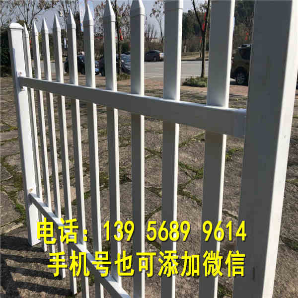 广西柳州竹篱笆护栏 竹子护栏什么价格
