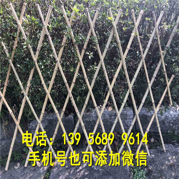 二七区竹栅栏户外竹篱笆紫竹拉网庭院围栏护栏厂家供应