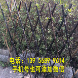 南宫市防腐木栅栏碳化木园艺栅栏厂家价格图片0