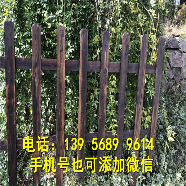 苍梧县竹篱笆绿化围墙塑钢围栏每周回顾