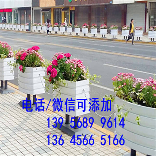 阜城县PVC护栏道路围墙花园隔离栏园林哪家买