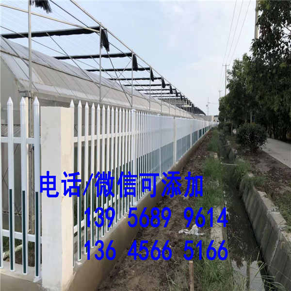 湘西土家族苗族自治州pvc护栏绿色护栏绿化带护栏门市价