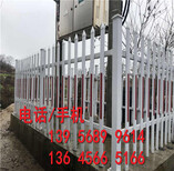 广东河源竹栅栏围栏变压器围墙护栏多少钱图片4