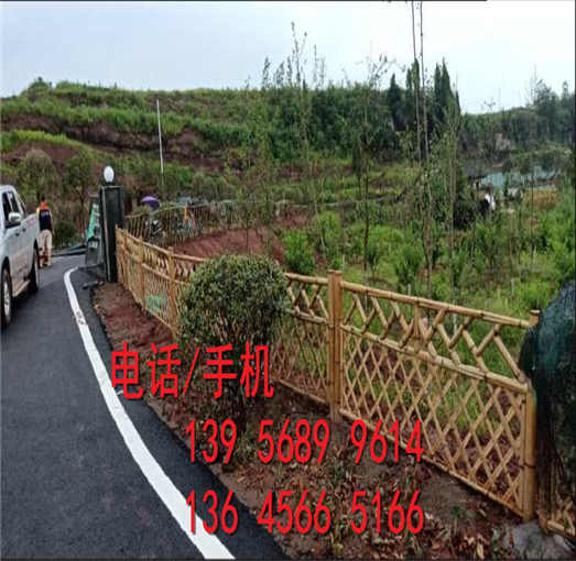 泰宁县户外花园护栏紫竹帘竹竿围墙装饰欢迎出售
