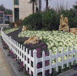 无锡惠山区花坛护栏pvc绿化护栏厂家供应图片1