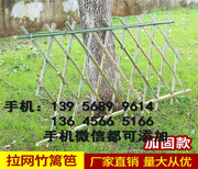 阜阳阜南县绿植阳台户外装饰绿色地毯垫子家图片4