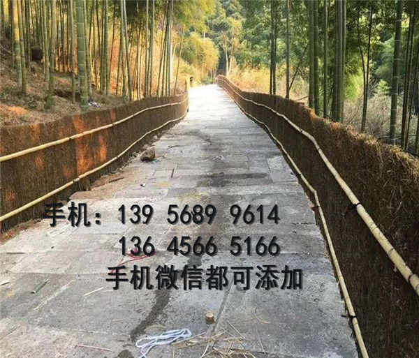 金阳县竹篱笆围栏 竹护栏厂家供货
