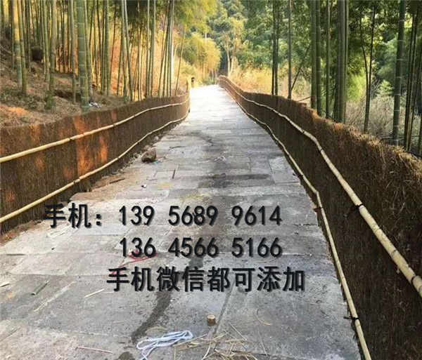 竹篱笆）广东汕头竹篱笆 竹篱笆 竹篱笆(各市)厂商？