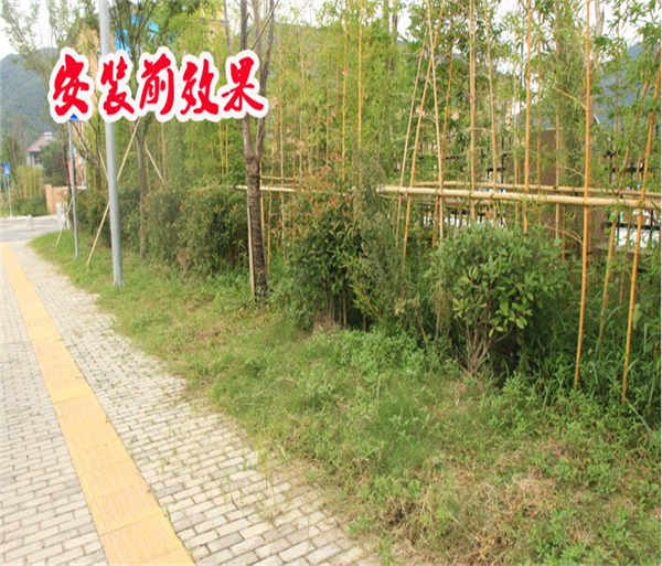 兴宁区紫竹子木栅栏围栏护栏什么价格
