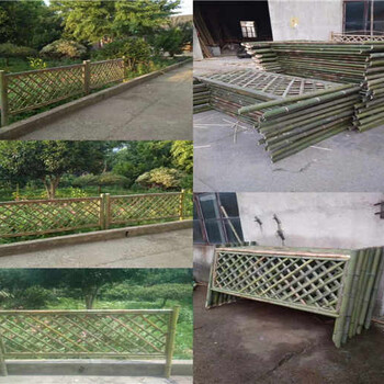 任县竹篱笆绿化围墙塑钢围栏厂家供应