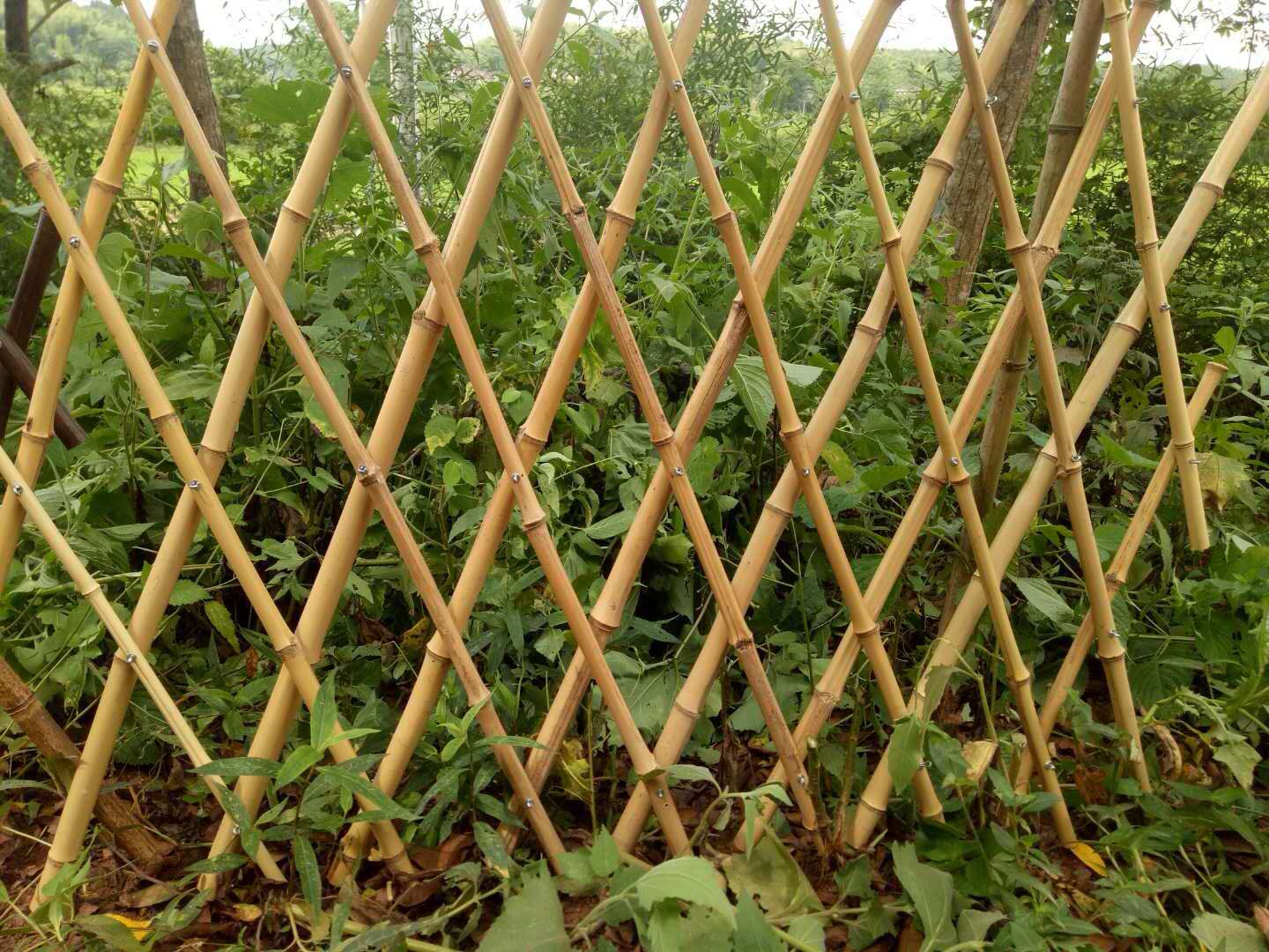浈江区庭院栅栏绿化栏杆塑钢pvc护栏围栏厂家