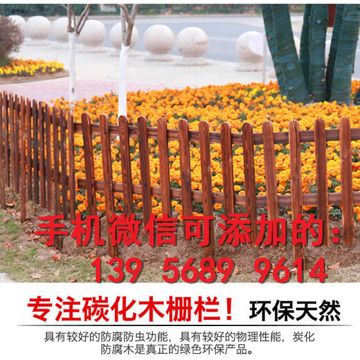 滁州天长栏杆pvc塑钢护栏那个省钱