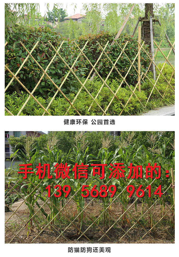 漳州平和县竹栅栏竹篱笆墙竹护栏草坪护栏厂商出售