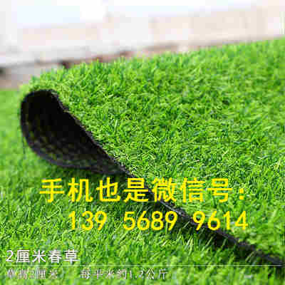 南平松溪县人工假草皮平人造塑料地毯天台绿化装饰多少钱