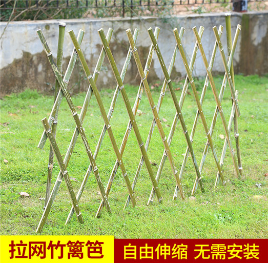 供应：学校护栏              安装图片