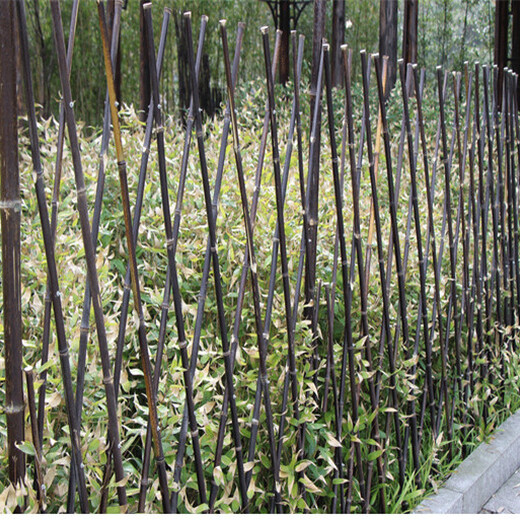 供应：竹竿篱笆装饰爬藤架厂家供应
