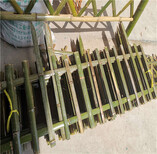武江区竹篱笆绿化围墙塑钢围栏厂家价格图片4
