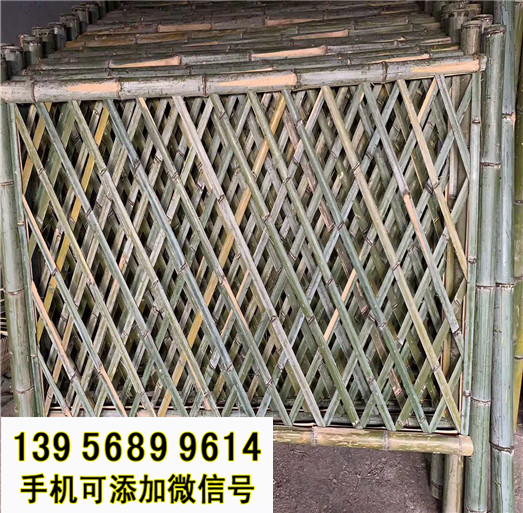 竹篱笆）横县PVC栅栏 塑钢变压器护栏(各市)厂家供应？