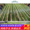 陇南西和县木栅栏pvc绿化栏杆竹篱笆（中闻资讯）