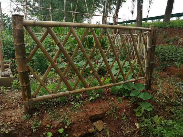 石台竹篱笆 pvc护栏绿化栅栏（中闻资讯）