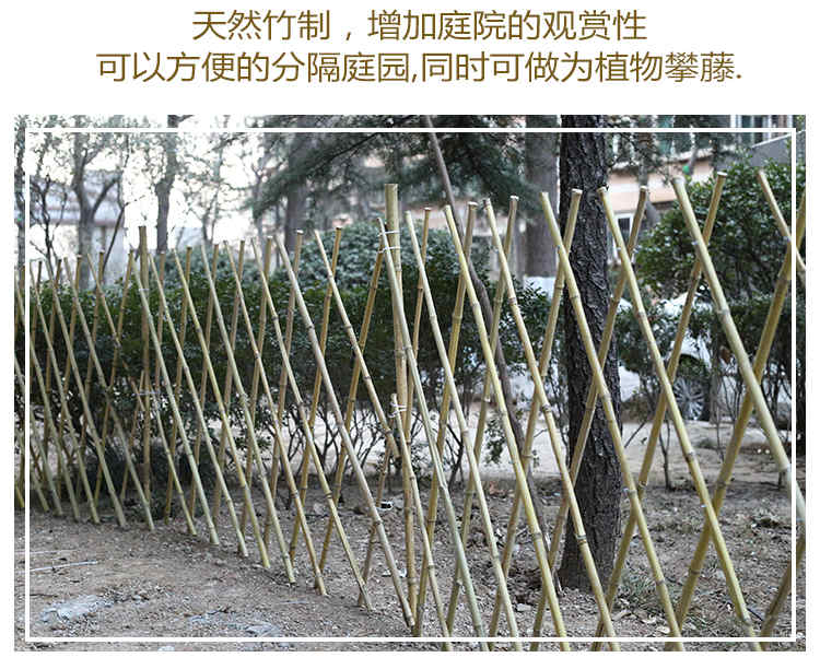 铁山区竹篱笆 竹子护栏装饰花园围栏室外草坪护栏（中闻资讯）