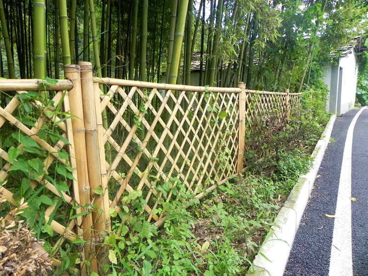 夷陵区竹篱笆 竹子护栏碳化防腐木栅栏草坪护栏（中闻资讯）