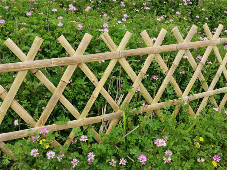 漯河源汇pvc草坪护栏 竹篱笆 塑钢护栏栅栏围栏（中闻资讯）