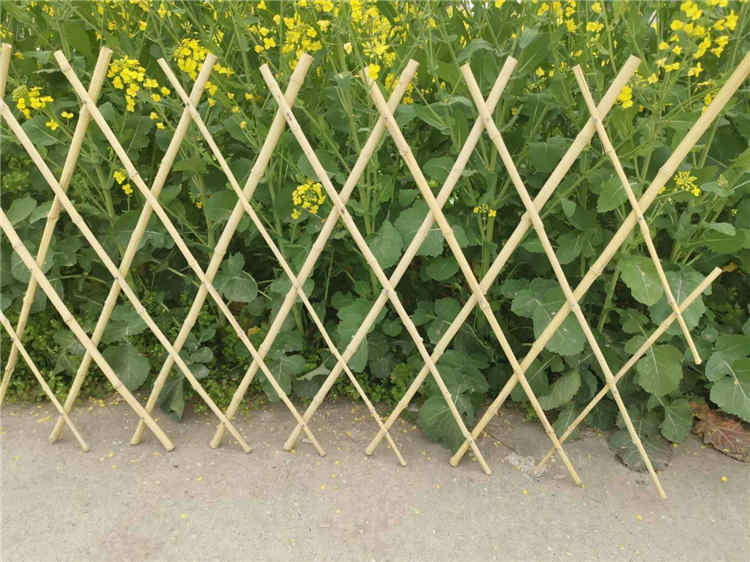 东安县竹篱笆 竹子护栏绿化电力塑钢篱笆草坪护栏（中闻资讯）