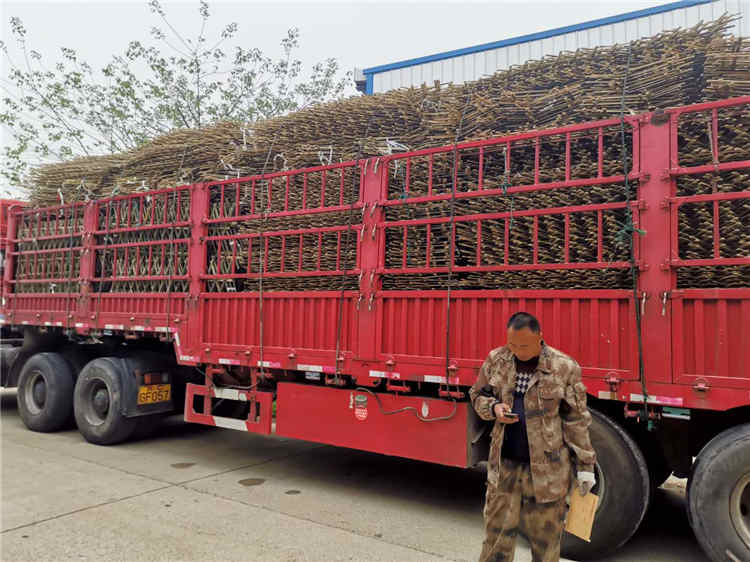 赣州安远县木栅栏防腐木篱笆围栏竹篱笆（中闻资讯）