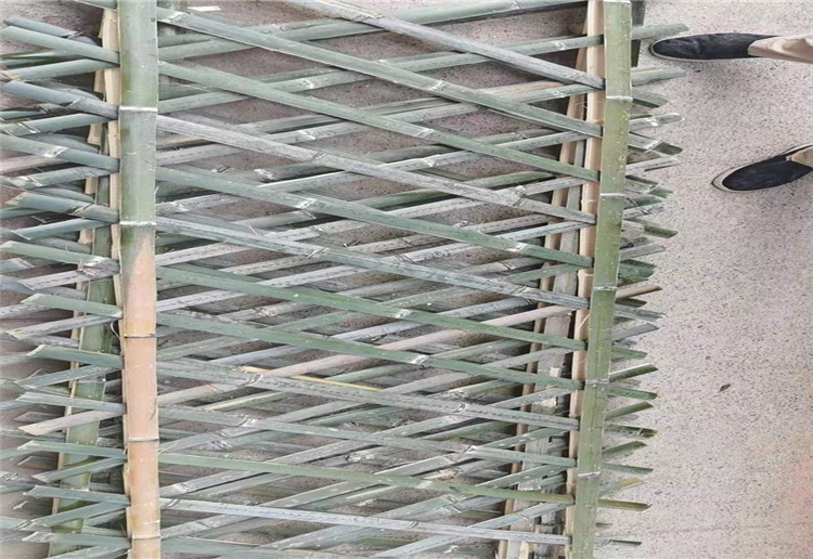 洛龙竹篱笆 pvc护栏栅栏围栏（中闻资讯）