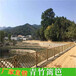 湘潭雨湖pvc草坪护栏竹篱笆塑钢护栏塑钢pvc护栏围栏（中闻资讯）