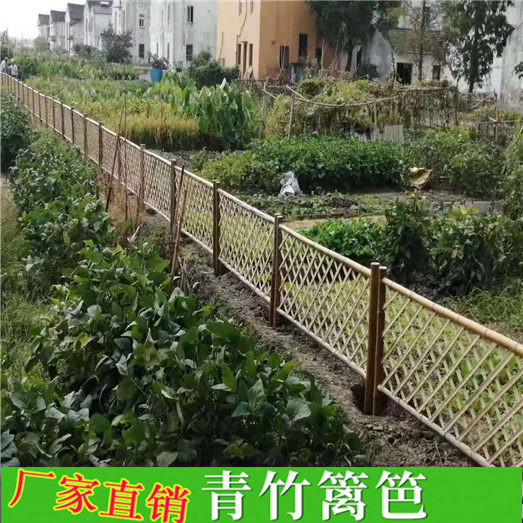 绥化市竹篱笆 竹子护栏绿化栅栏pvc护栏（中闻资讯）