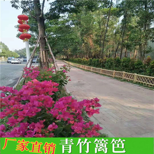 漳州市竹籬笆竹子護欄竹籬笆柵欄圍欄pvc護欄（中聞資訊）