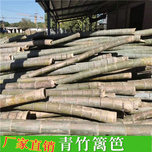 正陽縣竹籬笆竹子護(hù)欄綠化電力塑鋼籬笆草坪護(hù)欄（中聞資訊）