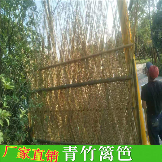 定远县竹篱笆 竹子护栏pvc围墙护栏pvc护栏（中闻资讯）