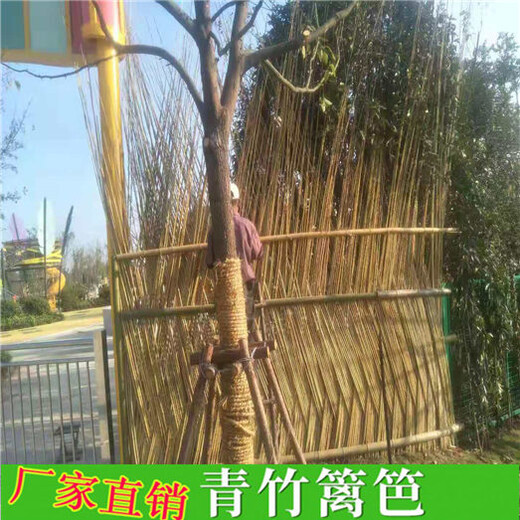 邓州市竹篱笆竹子护栏栅栏户外草坪护栏（中闻资讯）