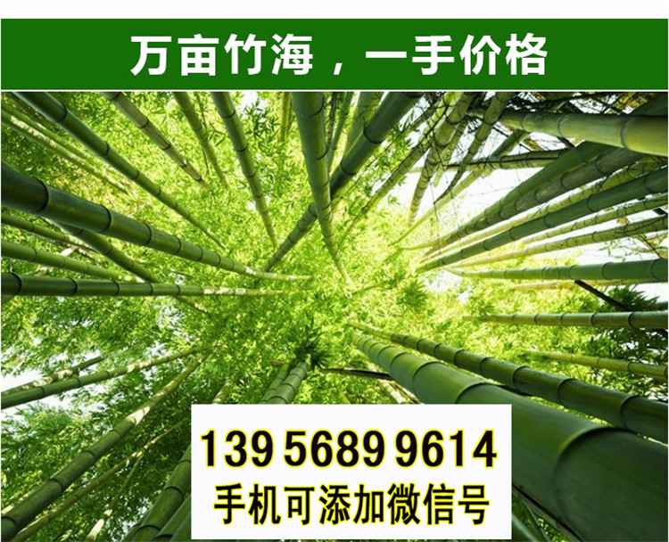 薛城区竹篱笆 竹子护栏竹护栏pvc护栏（中闻资讯）