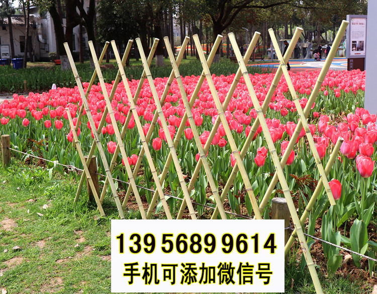 上饒市竹籬笆 竹子護欄pvc圍墻護欄pvc護欄（中聞資訊）