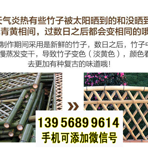 黃石市竹籬笆竹子護欄木籬笆木圍欄pvc護欄（中聞資訊）