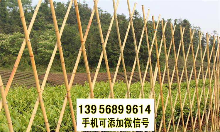 資陽區(qū)竹籬笆 竹子護(hù)欄pvc草坪欄桿草坪護(hù)欄（中聞資訊）