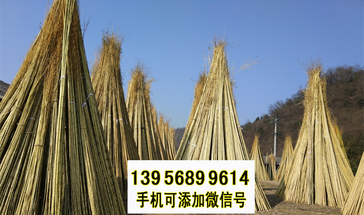 新晃竹籬笆 竹子護欄圍欄柵欄草坪護欄（中聞資訊）