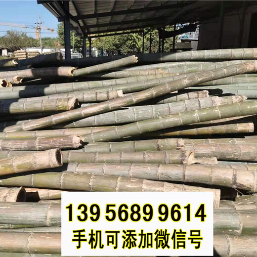 孝感市竹籬笆竹子護欄pvc隔離護欄草坪護欄（中聞資訊）