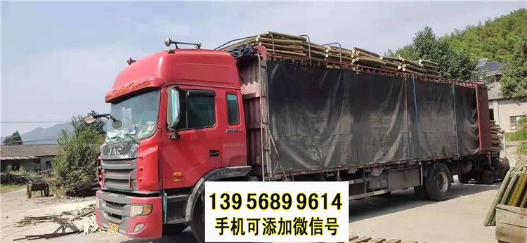 袁州區(qū)竹籬笆 竹子護欄籬笆網(wǎng)柵欄草坪護欄（中聞資訊）
