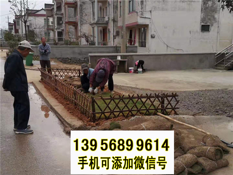 岑溪市竹籬笆 竹子護(hù)欄園林綠化柵欄草坪護(hù)欄（中聞資訊）