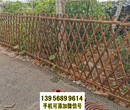 安阳竹篱笆竹护栏绿化围栏护栏（中闻资讯）