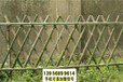 甘南竹篱笆pvc护栏小区围栏pvc塑钢栏杆（中闻资讯）